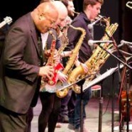 Jazz at Milton Is Forty Years Young