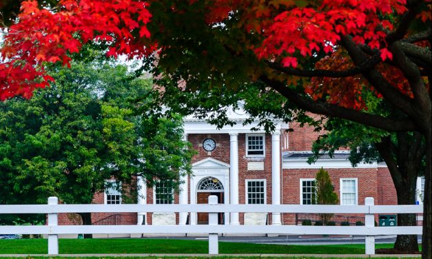 A Focus on Mental Health and Wellness